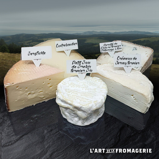 Panier Janvier 5 Fromages