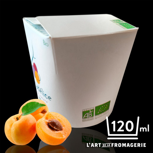 Sorbet Bio Abricot  – 120 ml