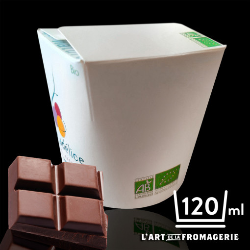 Sorbet Chocolat noir A. Morins Bio – 120 ml