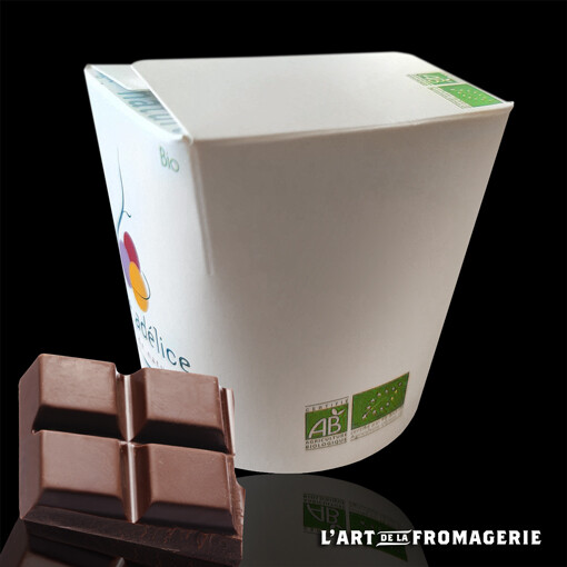 Sorbet Chocolat noir A. Morins Bio – 120 ml