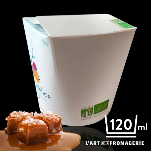 Glace Caramel Crème Salée Bio – 120 ml