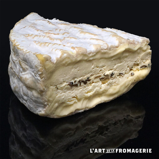 Brie de Normandie Bio fermier truffé