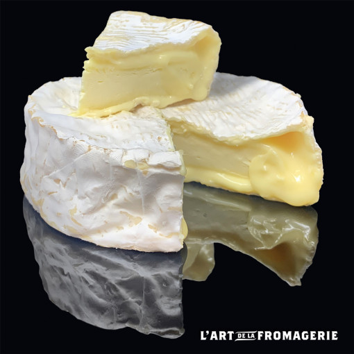 Camembert de Normandie fermier Bio Lait de foin AOP