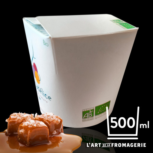 Glace Caramel crème salée Bio – 500 ml