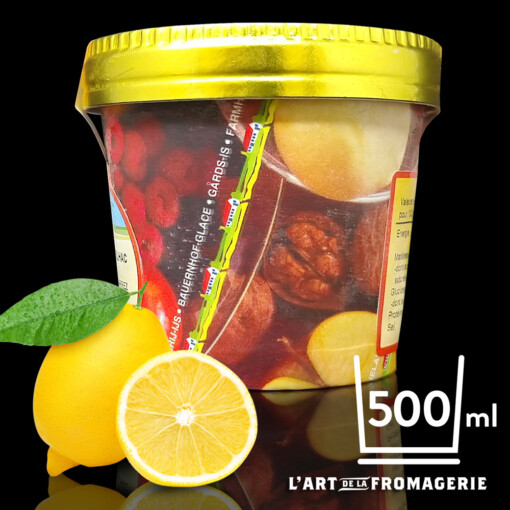 Sorbet Citron Bio – 500ml