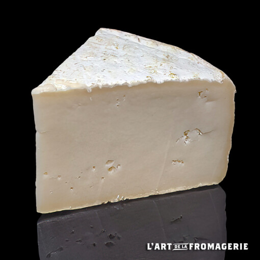 Tomme de chèvre fermière Bio