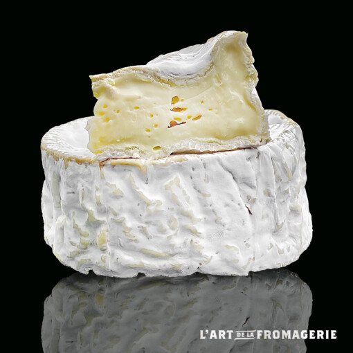 Camembert fermier