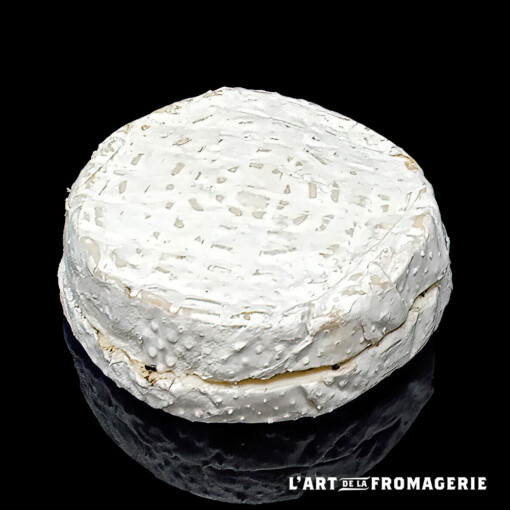 Bonfiore truffé