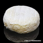 Tomme matte fermière Pâturage et foin