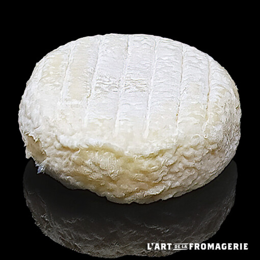 Tomme matte fermière Pâturage et foin