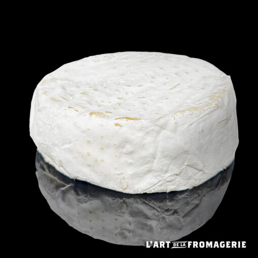 Bonfiore de bufflonne