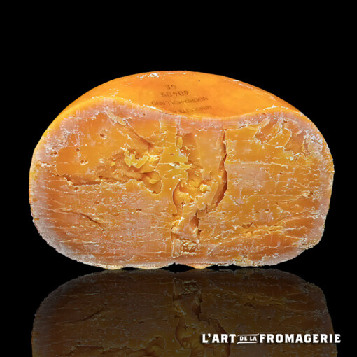 Mimolette vieille